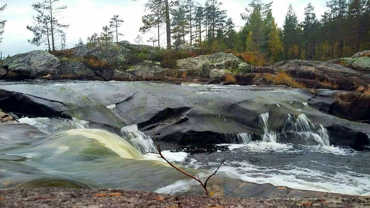 Hamra Stugby - Nature Adventures Hamra 빌라 외부 사진